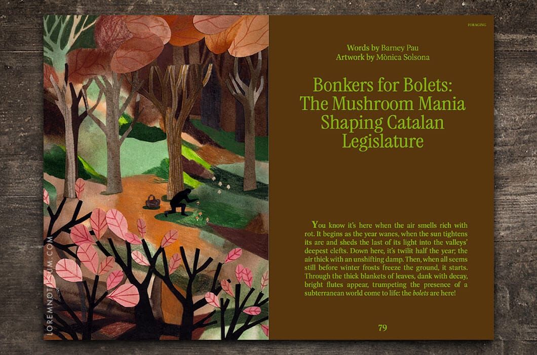 Entangled Landscapes Vol. 2 (Catalunya) – loremnotipsum.com