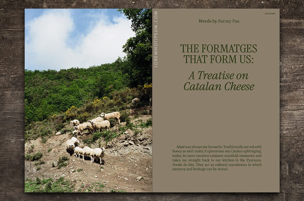 Entangled Landscapes Vol. 2 (Catalunya) – loremnotipsum.com